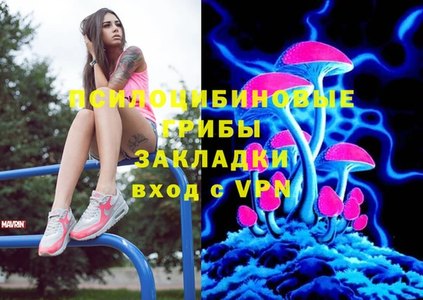 крисы Армянск