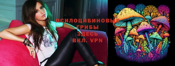 крисы Армянск