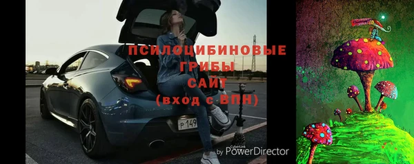 крисы Армянск