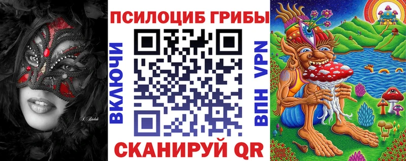 Псилоцибиновые грибы GOLDEN TEACHER OMG онион Приволжск где можно купить наркотик