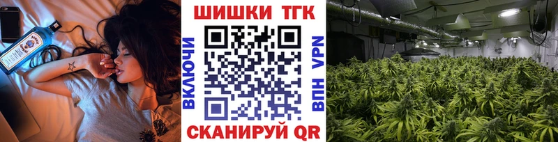Конопля план Приволжск